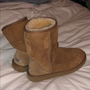 Chestnut - short Ugg